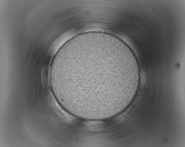 X0000114411290200911131420