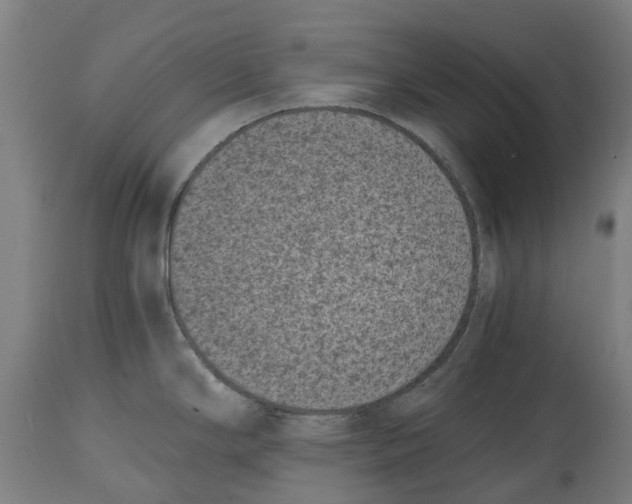 X0000114411294200911131420