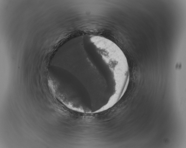 X0000114411297200911131419