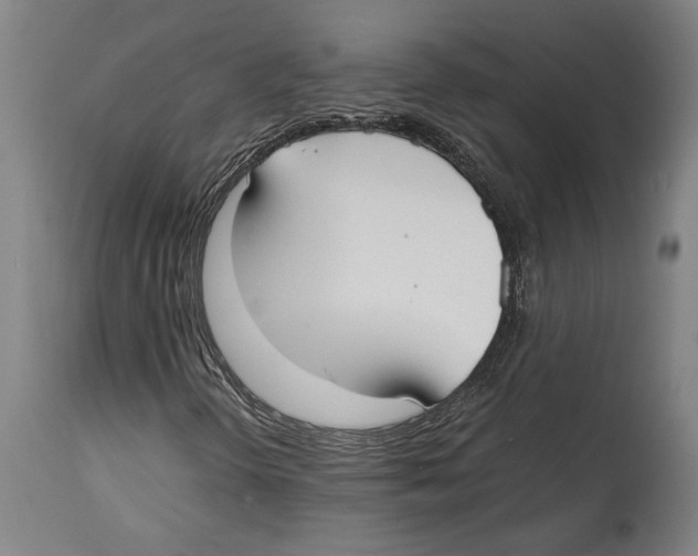 X0000114411298200911131419