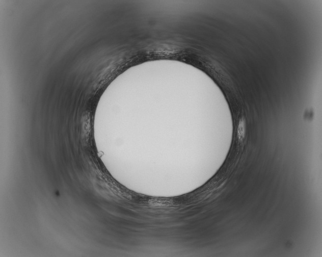 X0000114411299200911131419