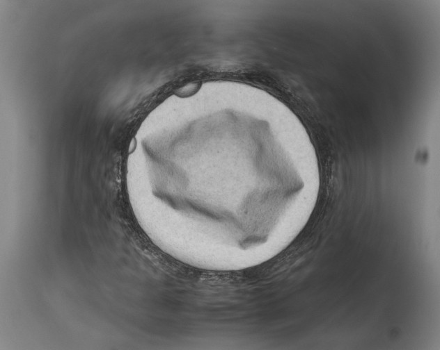 X0000114411301200911131419