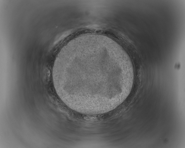 X0000114411302200911131419