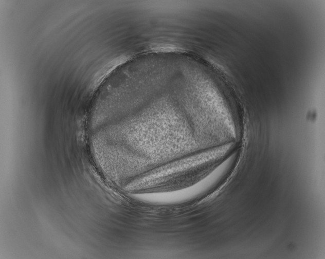 X0000114411305200911131419