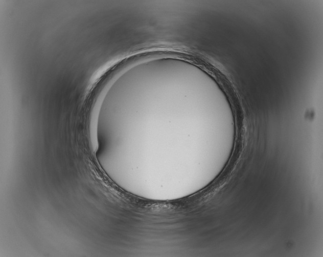 X0000114411310200911131419