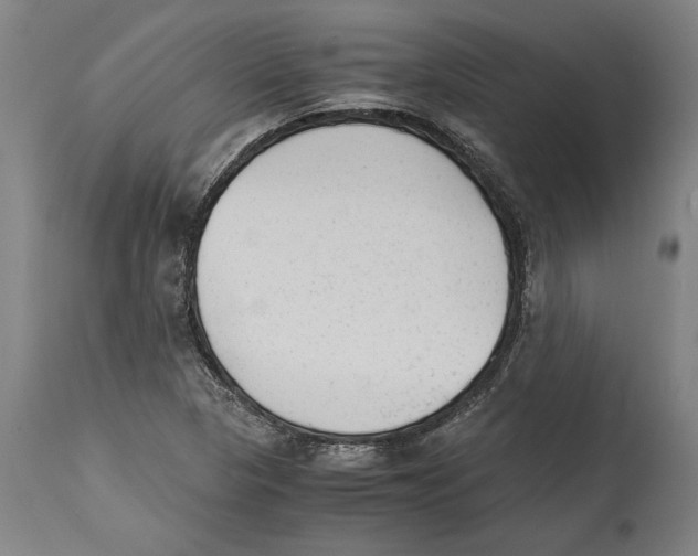 X0000114411313200911131419