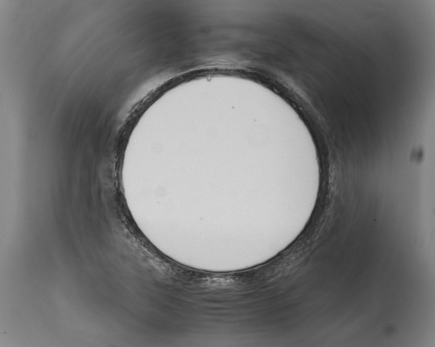 X0000114411315200911131419