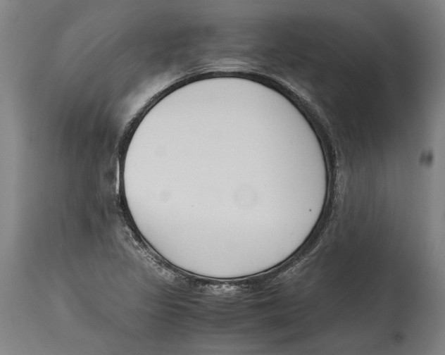 X0000114411317200911131419