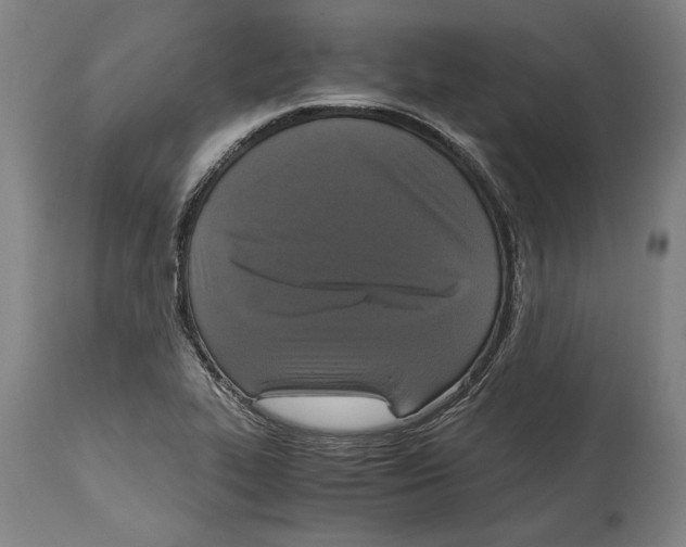 X0000114411319200911131419