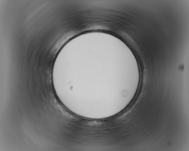 X0000114411321200911131419