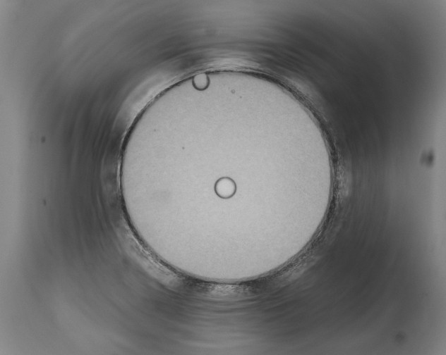 X0000114411322200911131419