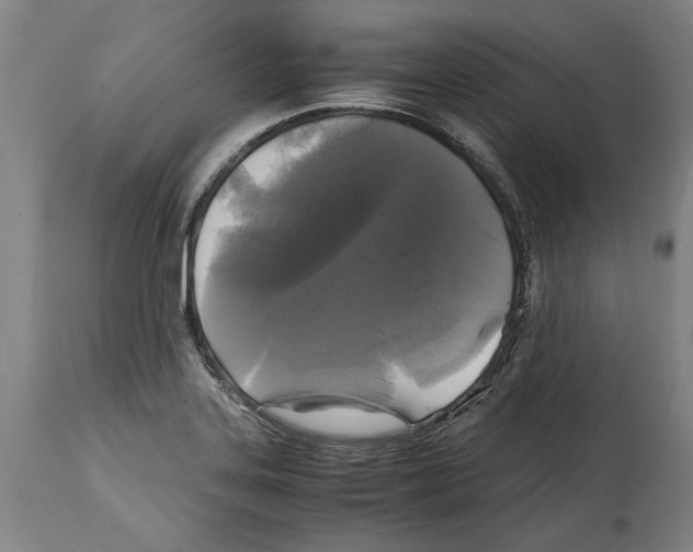 X0000114411323200911131419