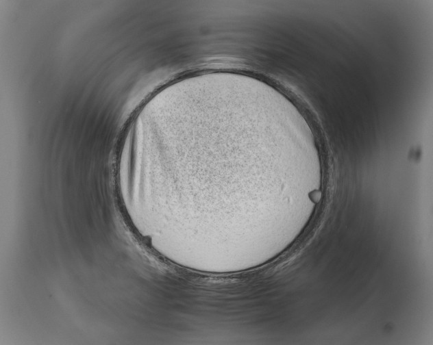 X0000114411325200911131419