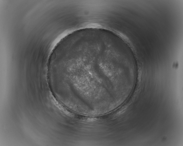 X0000114411326200911131419