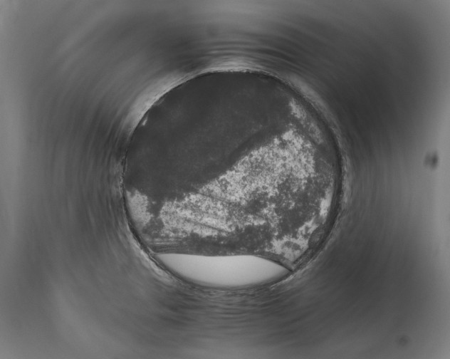 X0000114411329200911131419