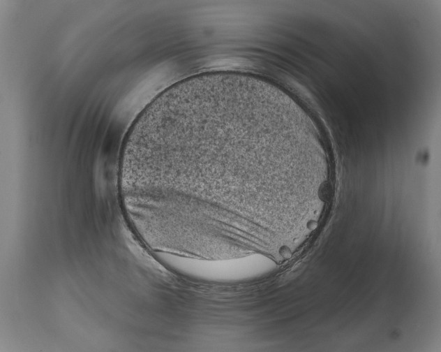 X0000114411330200911131419