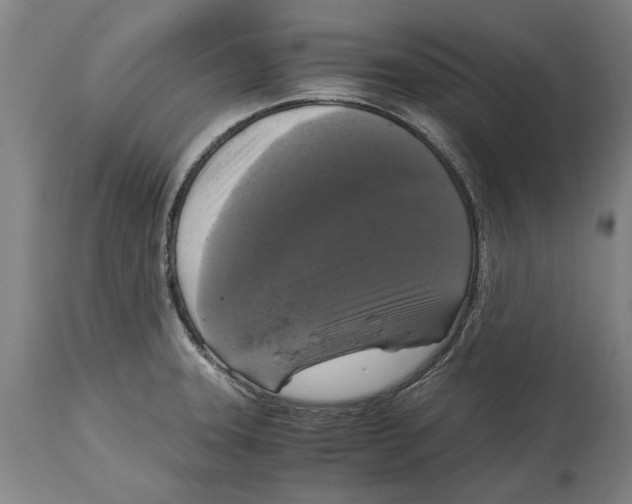 X0000114411331200911131419