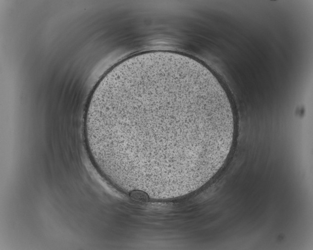 X0000114411333200911131419