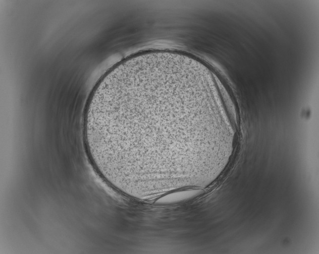 X0000114411335200911131419