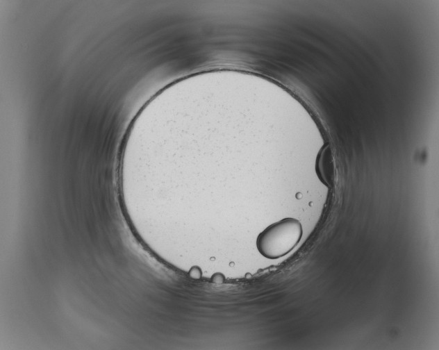 X0000114411339200911131420