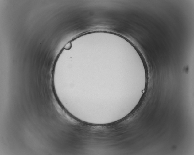 X0000114411341200911131420