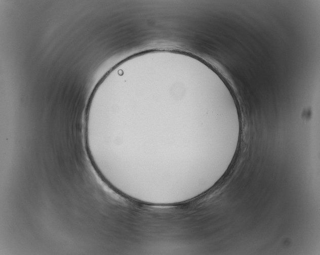 X0000114411343200911131420