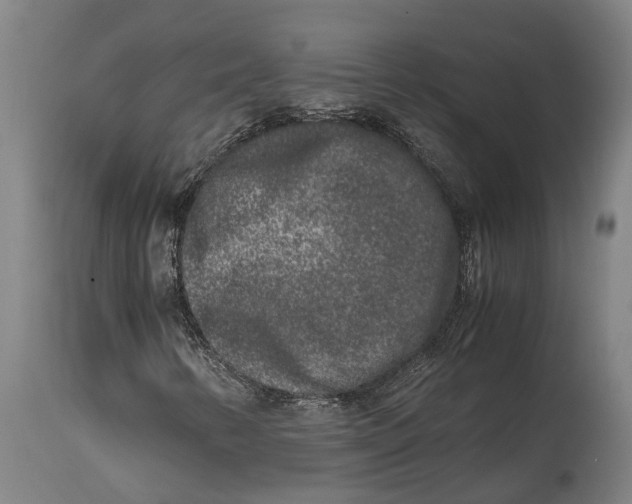 X0000114411346200911131419