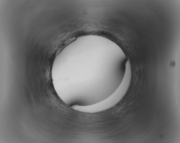 X0000114411348200911131419