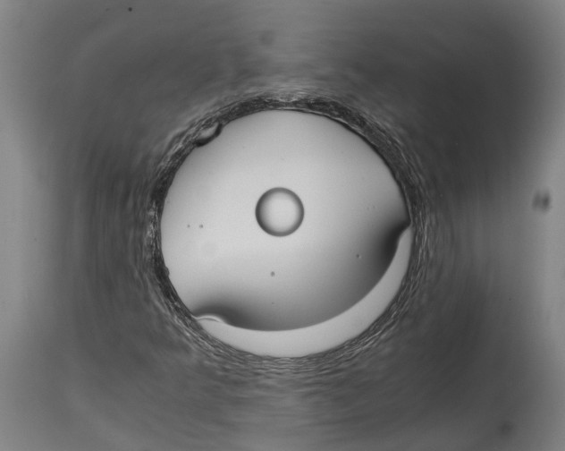 X0000114411349200911131419