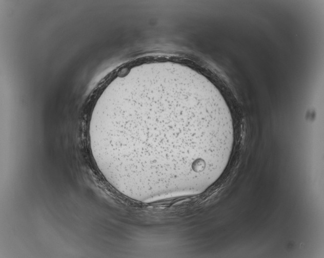 X0000114411352200911131419