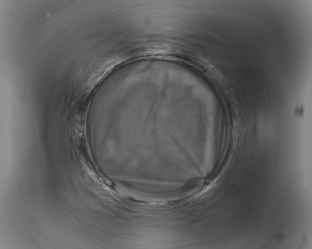 X0000114411353200911131419