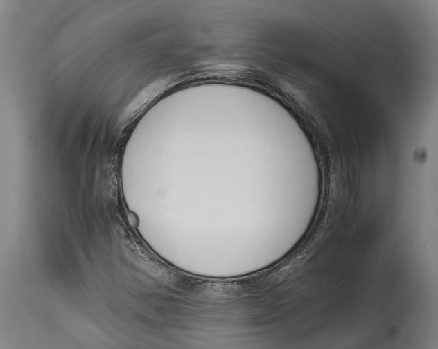 X0000114411354200911131419