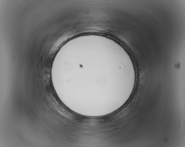 X0000114411355200911131419