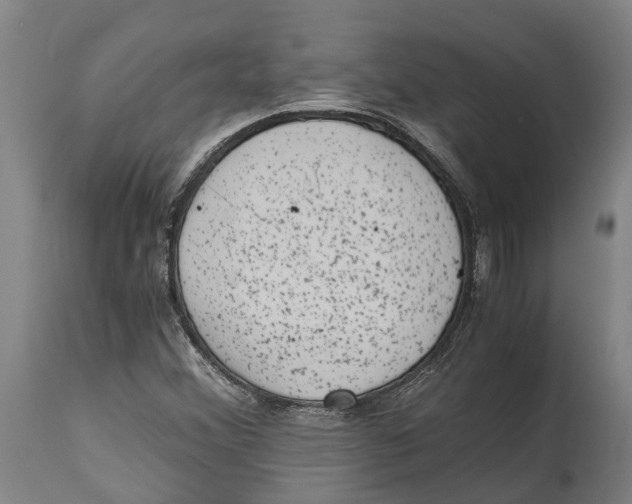 X0000114411356200911131419