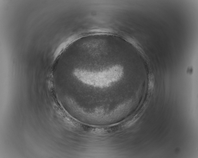 X0000114411357200911131419