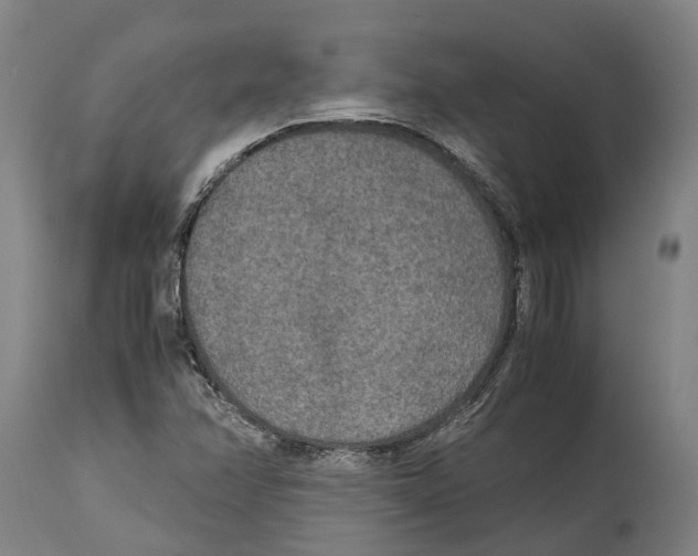 X0000114411358200911131419