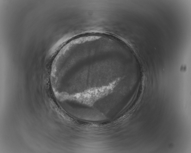 X0000114411359200911131419