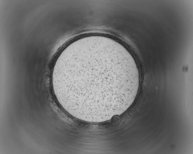 X0000114411360200911131419