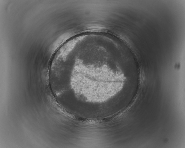 X0000114411362200911131419