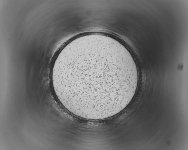 X0000114411364200911131419