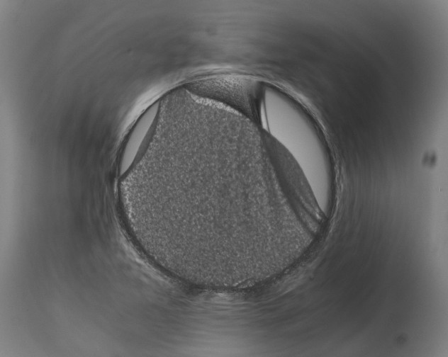 X0000114411365200911131419