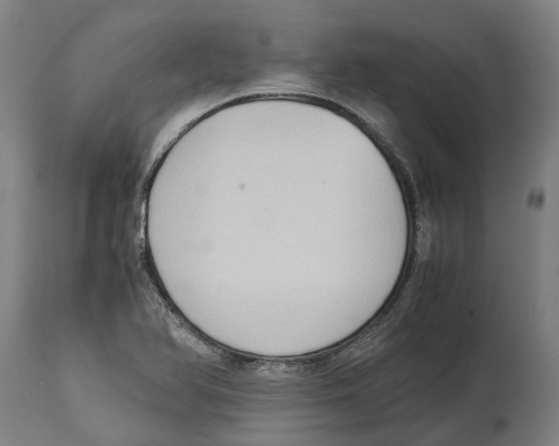 X0000114411366200911131419