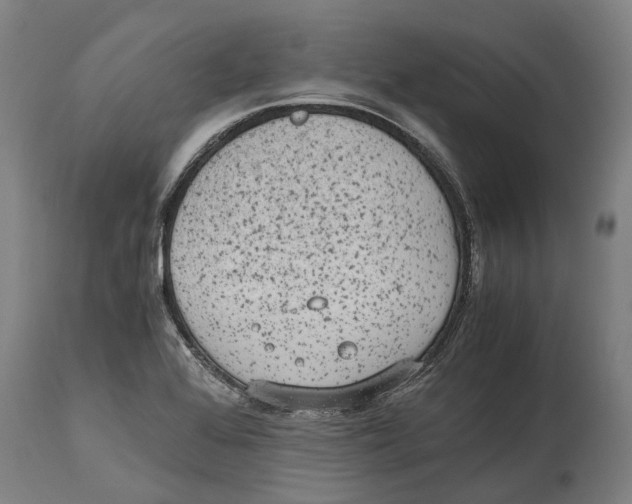 X0000114411368200911131419