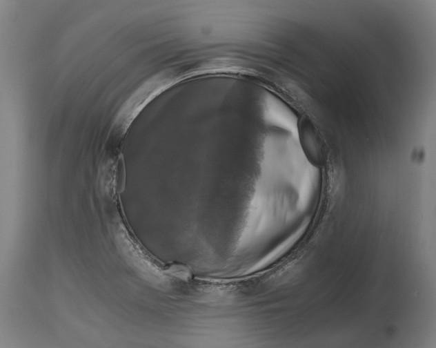 X0000114411369200911131419