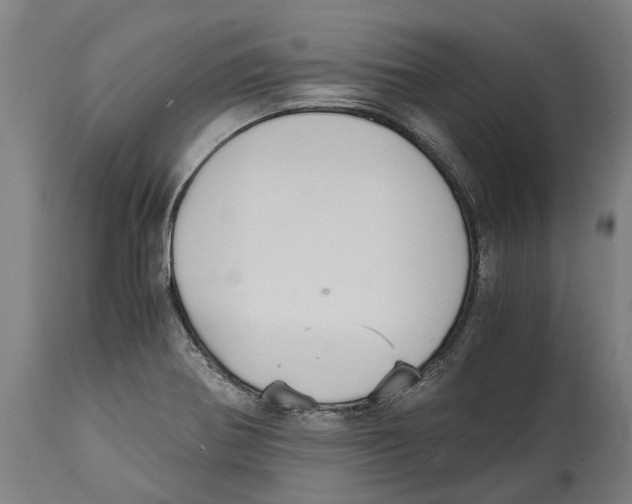 X0000114411370200911131419