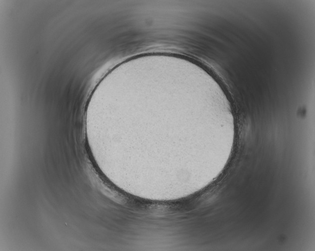 X0000114411371200911131419