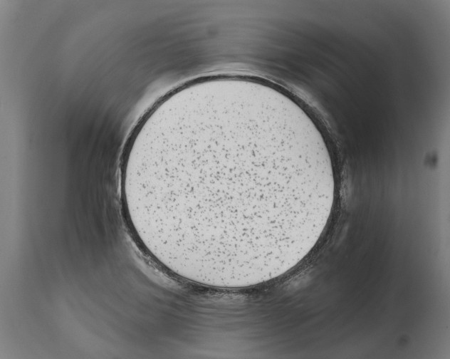 X0000114411372200911131419