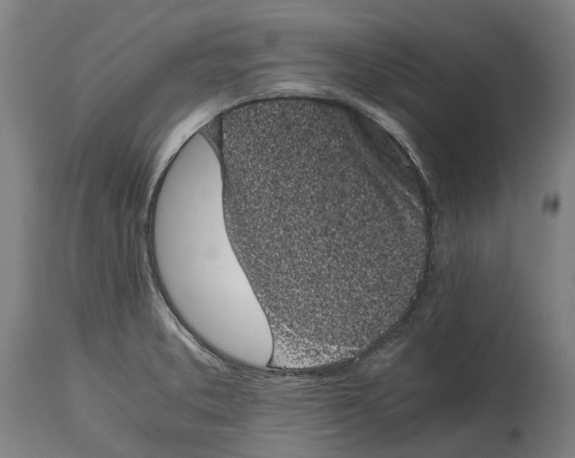 X0000114411373200911131419