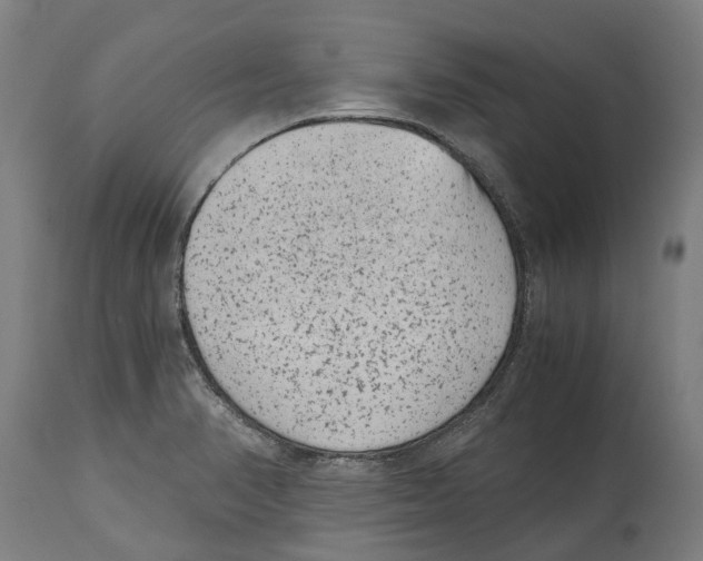 X0000114411374200911131419