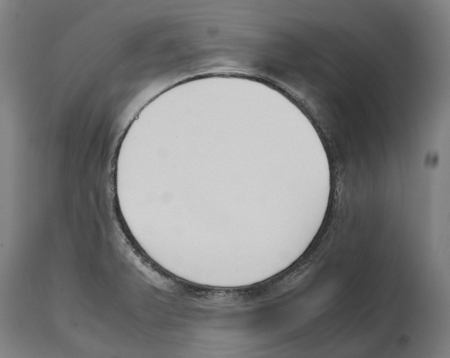 X0000114411375200911131418